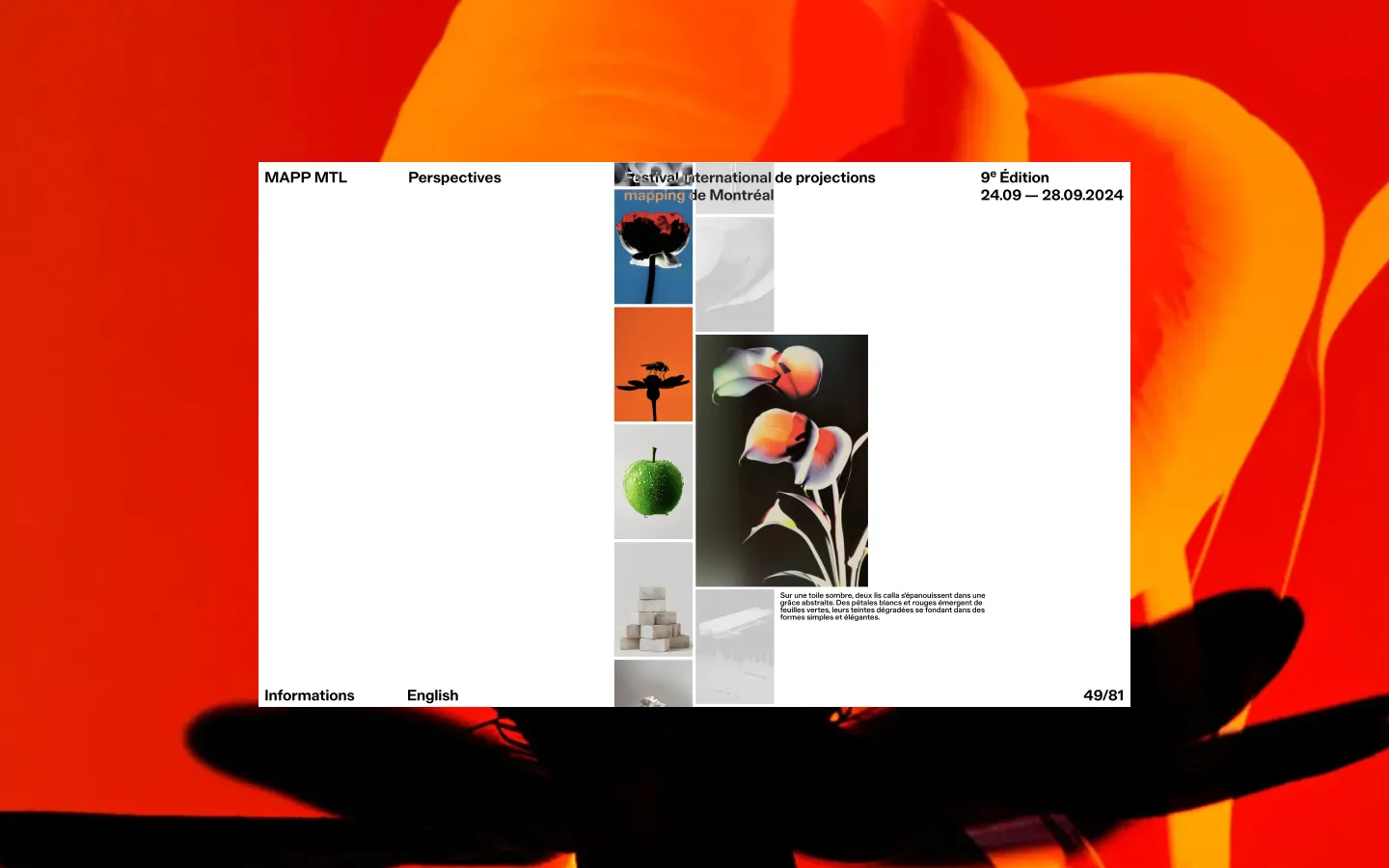 Mapp - Perpectives